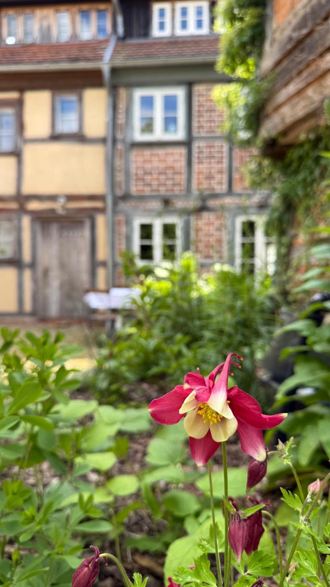 Ferienhaus St. Johannis Werben  Εξωτερικό φωτογραφία